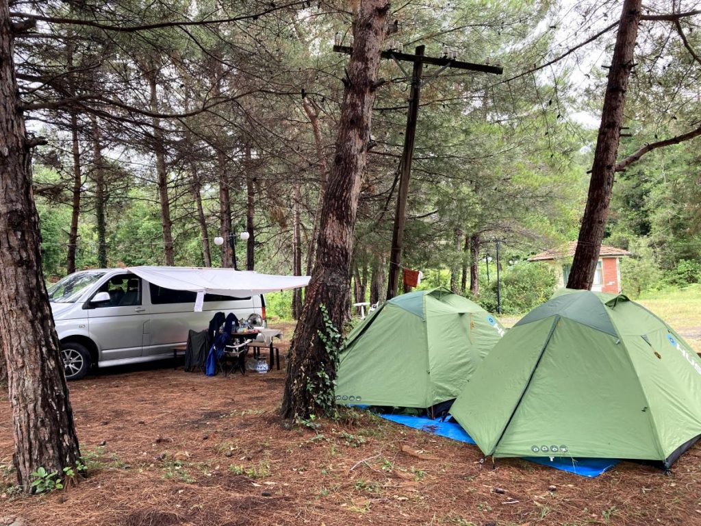 Novda ikkiga bolinadi