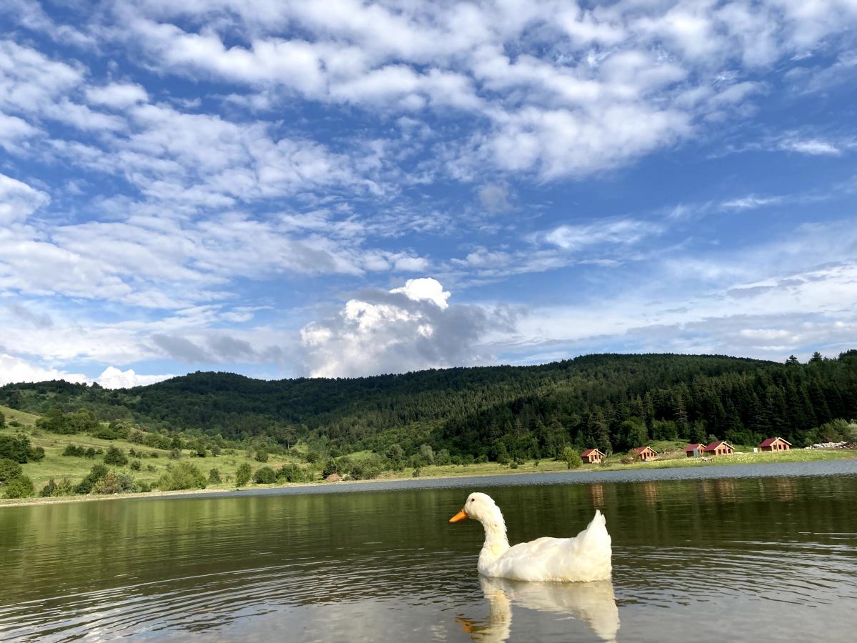 Ginekologning kabinetida tarqalgan labiyaning fotosurati.